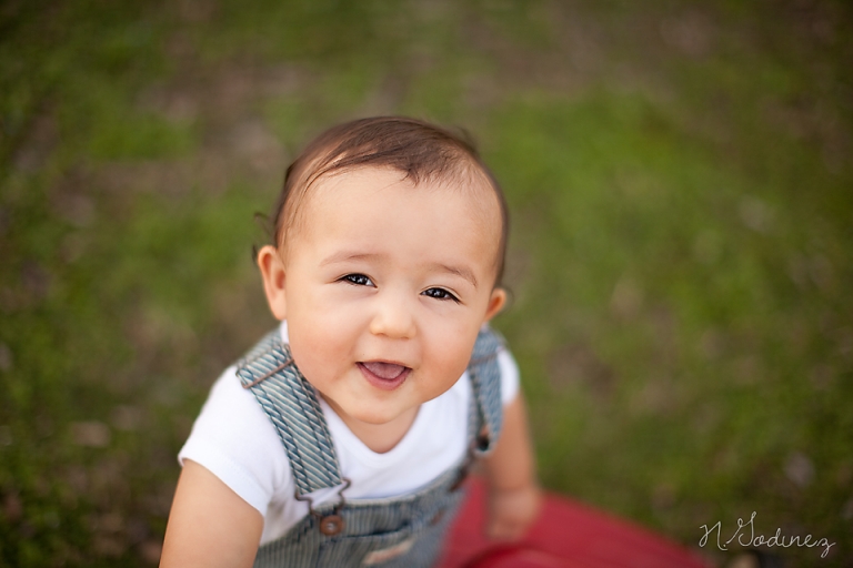 IMG_0050-copy
